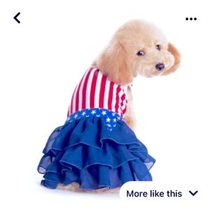USA 🇺🇸 pets costume ♥️